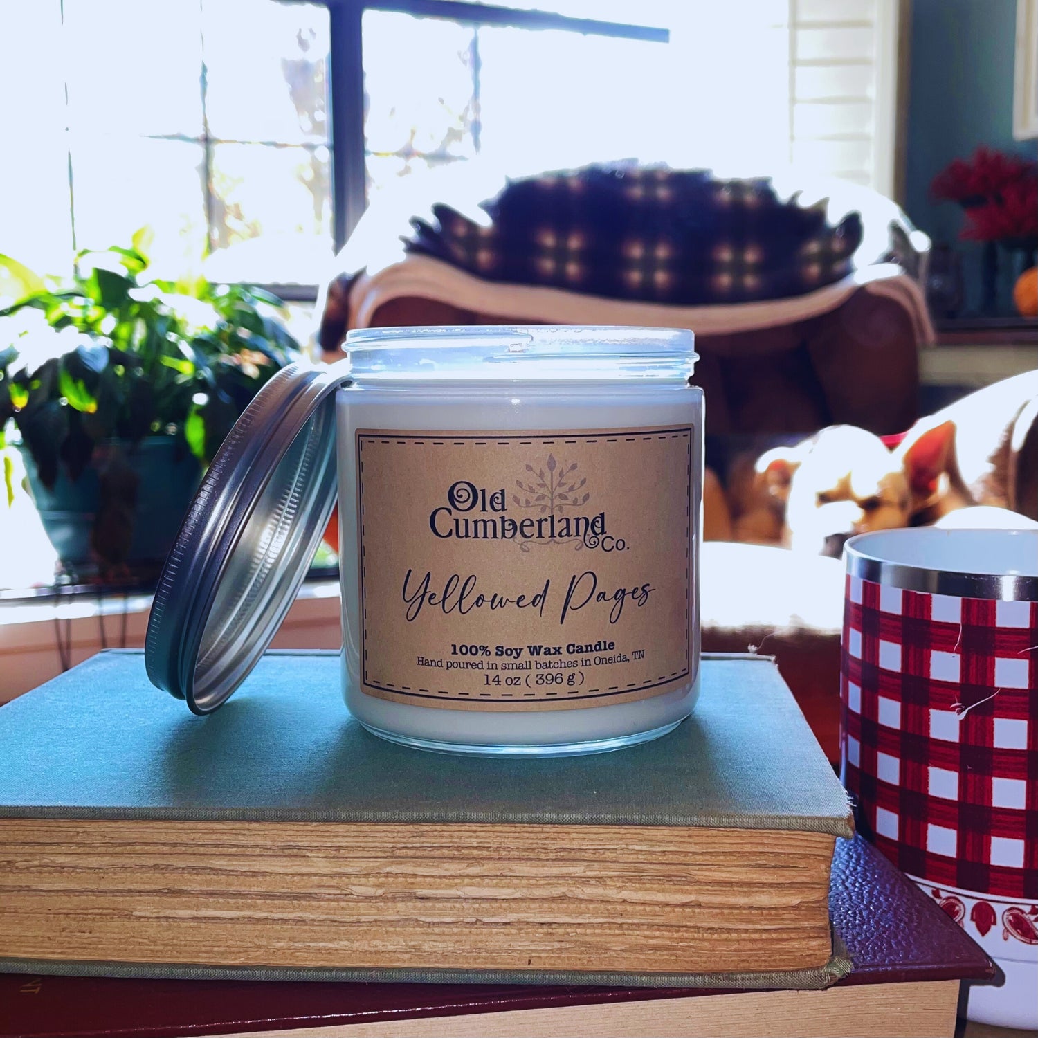Candles