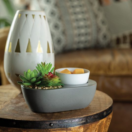 Succulent ArtScents Wax Warmer