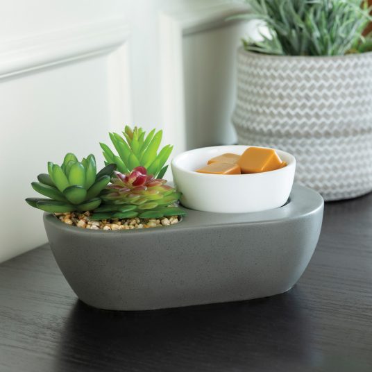 Succulent ArtScents Wax Warmer