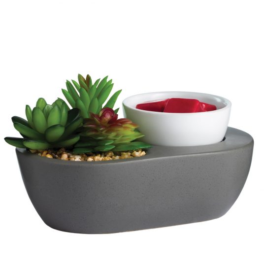 Succulent ArtScents Wax Warmer