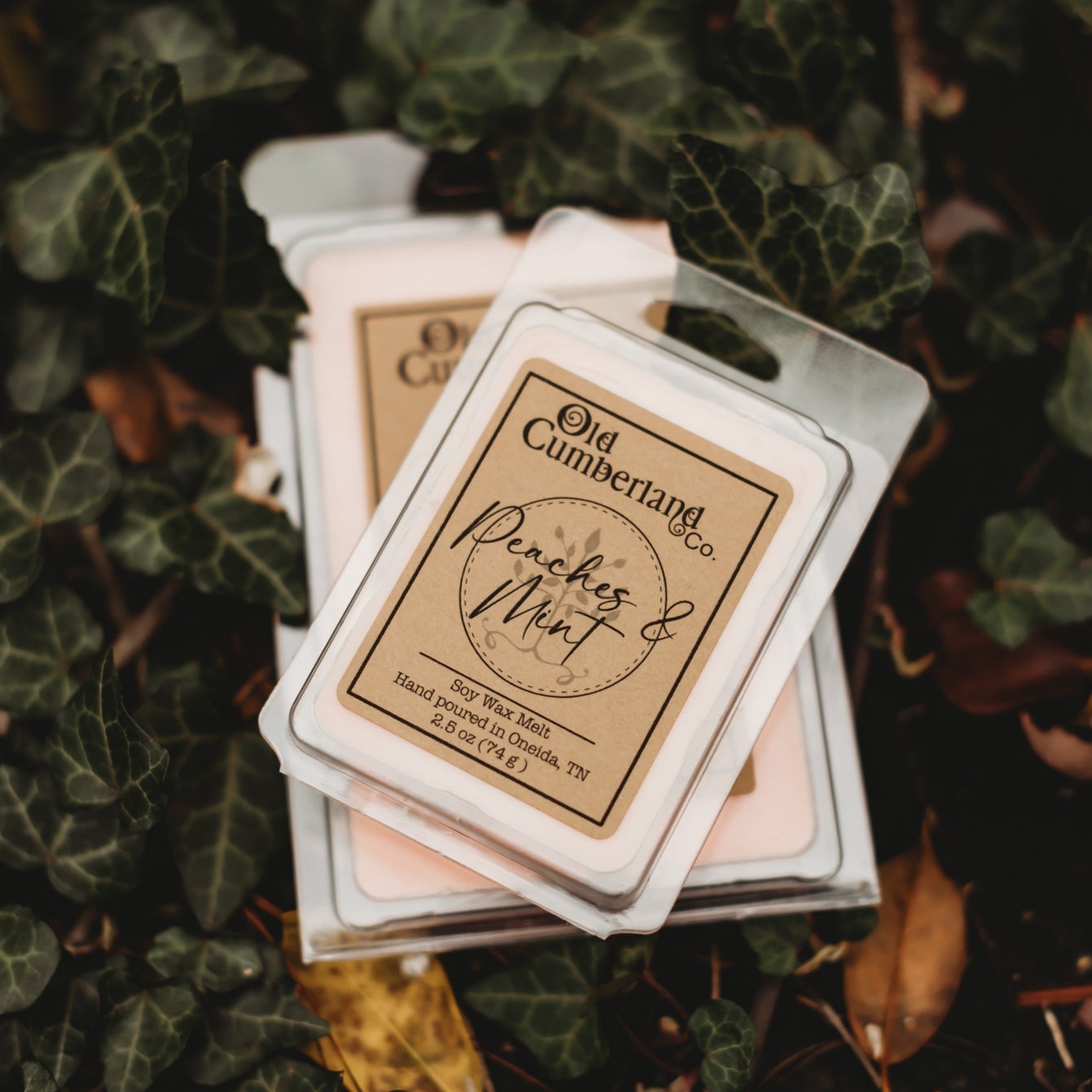 100% Soy Wax Melts